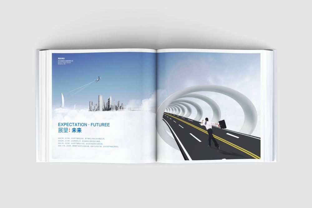 荔浦县画册设计